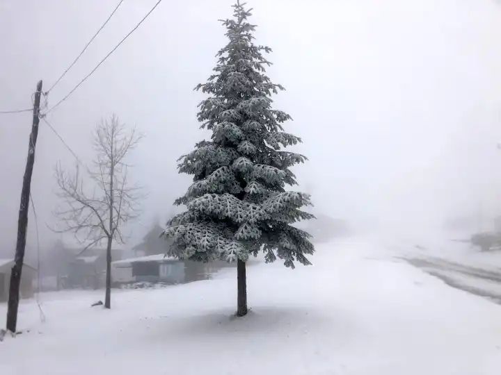 Hendek Yüksek Kesimlerine Kar Yağdı