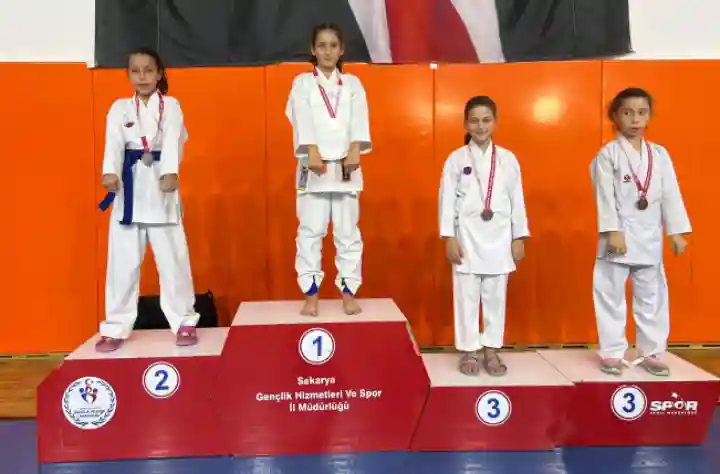 Hendek Karate Spor Kulübü 29 Ekim Cumhuriyet Kupası’ndan madalyalarla döndü