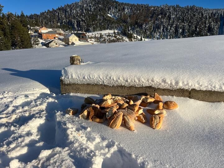 Hendek Yaylaları Kara Büründü , Hayat Arama Kurtarma Derneği’nden Doğaya Destek