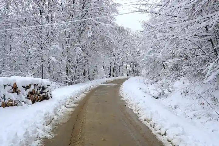 Sakarya’da Kardan Kapanan Grup Yolları Ulaşıma Açılıyor...