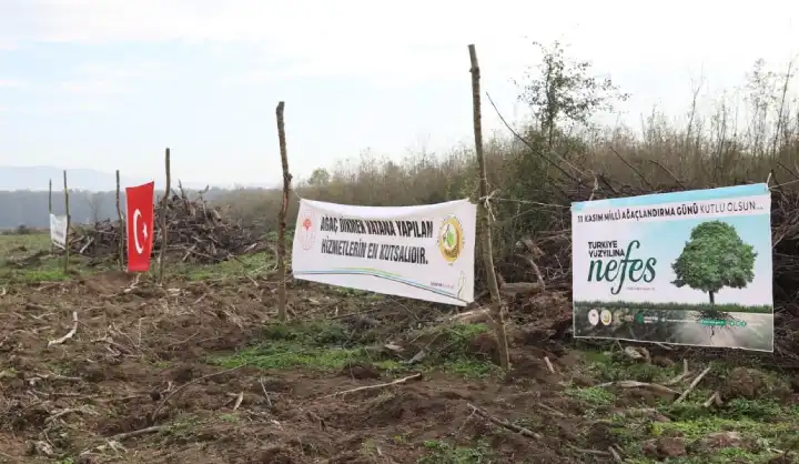 Hendek Paşaköy de Fidanlar Toprakla Buluştu