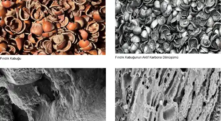 Fındık Kabuğundan Aktif Karbon Üretimi Başladı