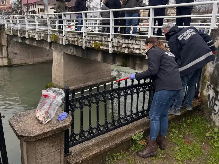 Hendek'te yaşanan balık ölümleri ile ilgili inceleme başlatıldı