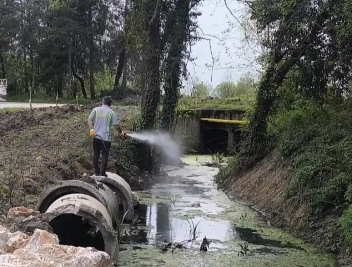 Hendek de Sinek ve Haşerelere Karşı Önlem alınıyor