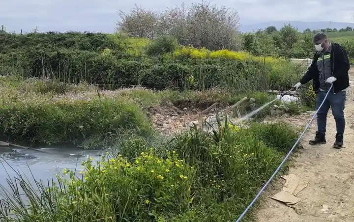 Hendek de Sinek ve Haşerelere Karşı Önlem alınıyor