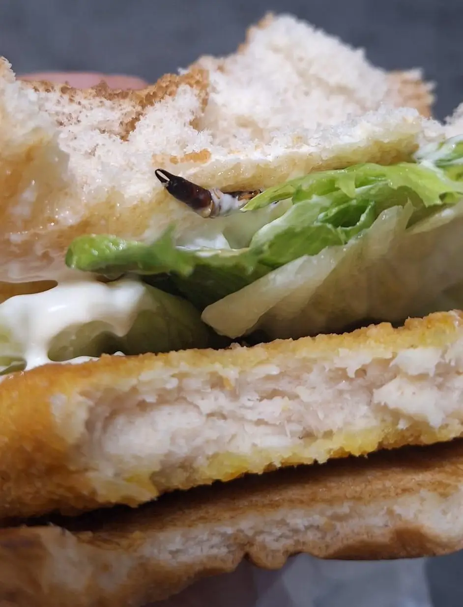 Hendek Fast Food Hamburger Bocek Iddiasi 1