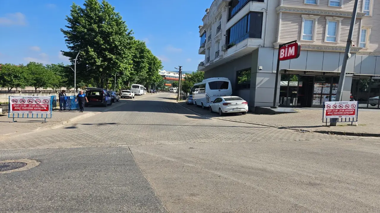 Hendek Mahmutbey Mahallesi 3504 Sokak Yaya Yolu