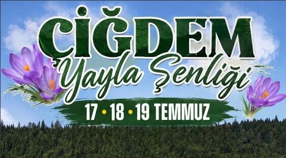 Hendek’te 28. Çiğdem Yaylası Şenliği İçin Geri Sayım Başladı