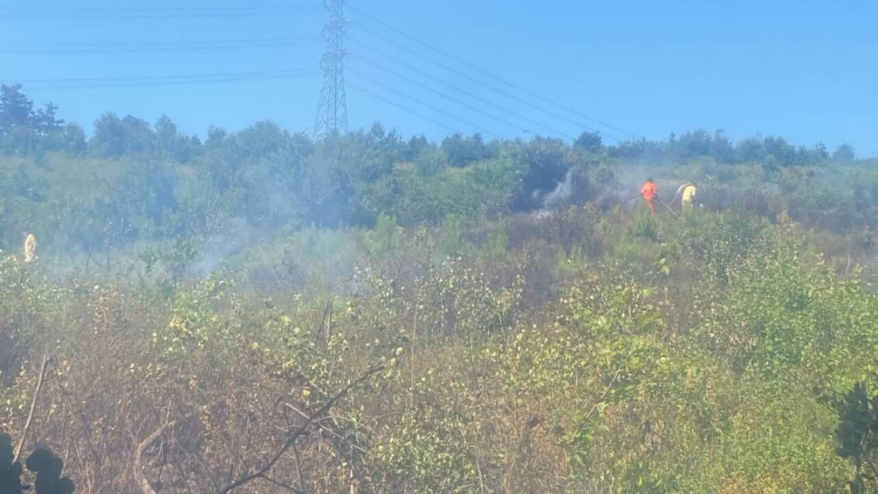 Hendek Kazimiye Orman Yangini