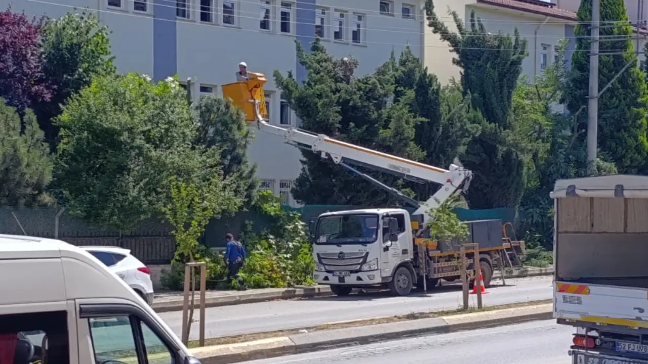 Hendek Yeni Mahalle Sedas Budama Calismasi Elektrik Kesintisi1