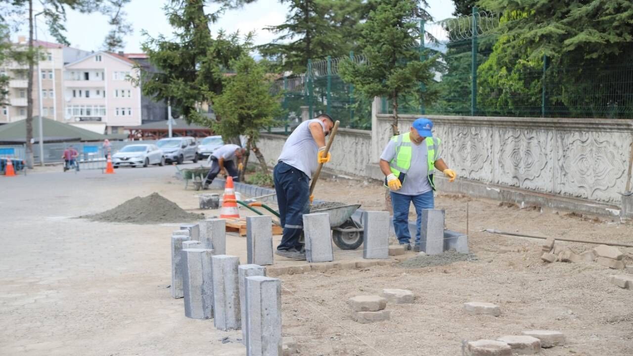 Çalışma2