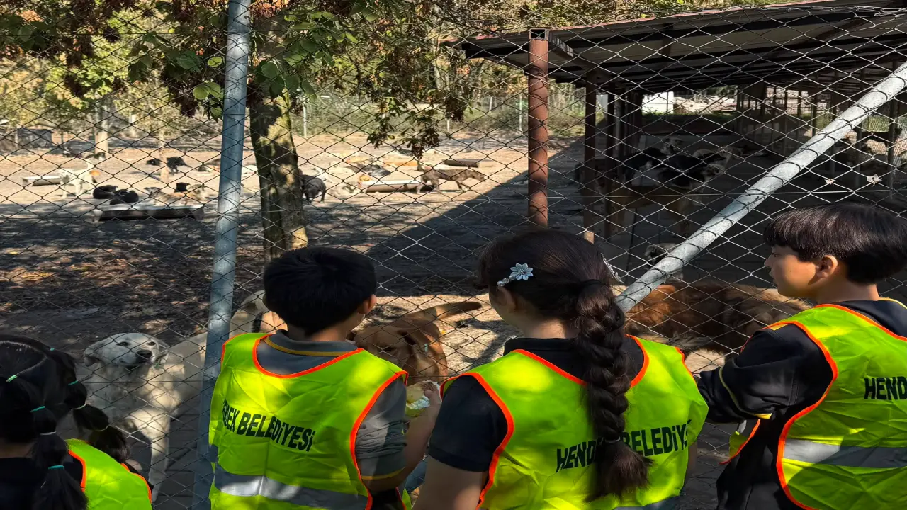 Hendek Ogrencileri Can Dostlarimizla Bulustu